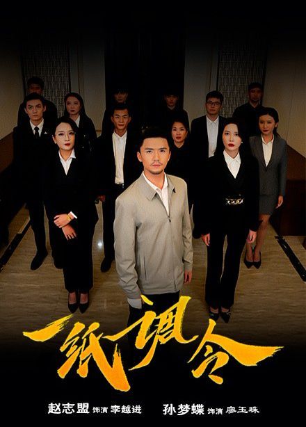 一纸调令 第1-20集